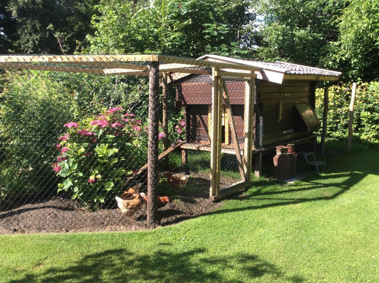 Giethoorn Lodge Luaran gambar